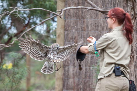 Moonlit Sanctuary Wildlife Conservation Park Daytime General Entry Ticket - Accommodation Search 1