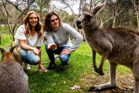 Moonlit Sanctuary Wildlife Conservation Park Daytime General Entry Ticket - Accommodation Search 2