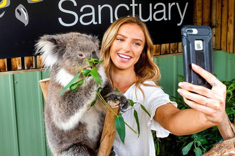 Moonlit Sanctuary Wildlife Conservation Park Daytime General Entry Ticket - Accommodation Search 4