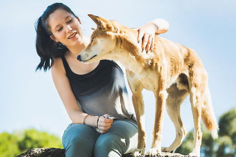 Moonlit Sanctuary Wildlife Conservation Park Daytime General Entry Ticket - Accommodation Search 5