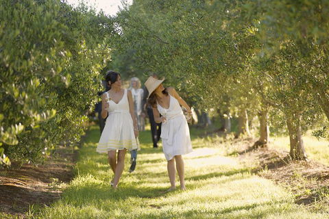 Yarra Valley Wine Tour With Local Harvest Tastings From Melbourne - Accommodation Search 0