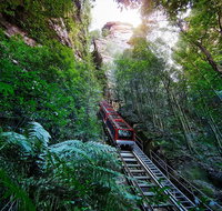 Private Blue Mountains Tour - Accommodation Search