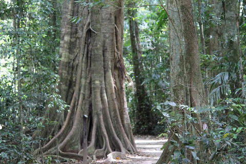 Noosa And Sunshine Coast Hinterland Day Trip From Brisbane - Accommodation Search 3