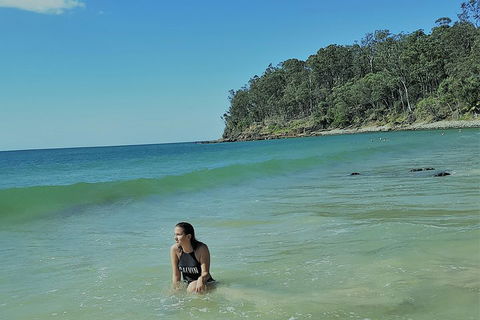 Noosa And Sunshine Coast Hinterland Day Trip From Brisbane - Accommodation Search 4