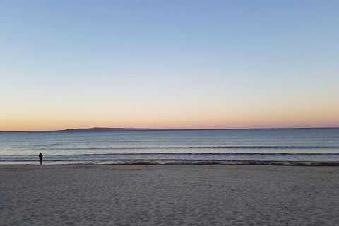 Noosa And Sunshine Coast Hinterland Day Trip From Brisbane - Accommodation Search 5