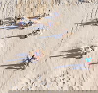 Unlimited Sandboarding - Accommodation Search