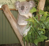 Blue Mountains Private Full-Day Tour from Sydney with Cruise - Accommodation Search