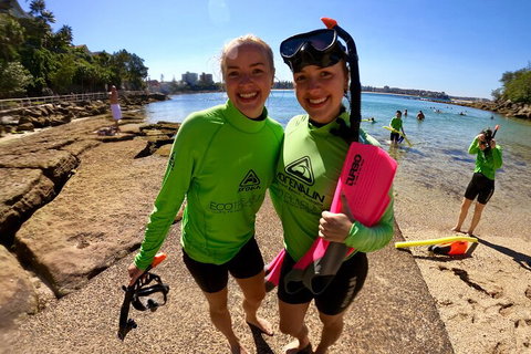 Manly Snorkel Trip And Nature Walk With Local Guide - Accommodation Search 1