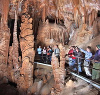 Private Tour Jenolan Caves  Blue Mountains in a day - Accommodation Search