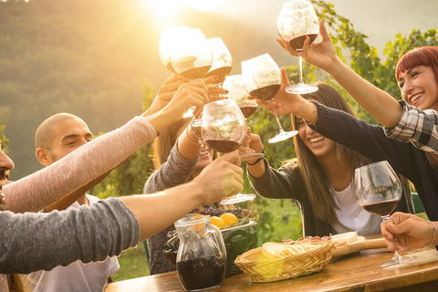 Yarra Valley, Dandenong Ranges Inc. Lunch With Wine,plus Morning Tea,chocolate - Accommodation Search 4