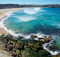 Private Sydney Foreshores and Beaches SUV Tour - Accommodation Search