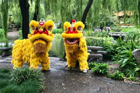 Chinese Garden General Admission Ticket - Accommodation Search 3