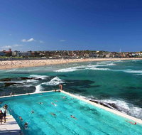 Private Sydney City and Bondi Beach Half Day Tour - Accommodation Search