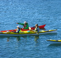 Half-Day Sydney Middle Harbour Guided Kayaking Eco Tour - Accommodation Search