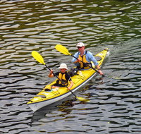 Self-Guided Sydney Middle Harbour Kayak 3 Hour Tour by Double Kayak - Accommodation Search