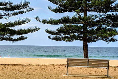 Manly & Sydney's Northern Beaches With 'Personalised Sydney Tours' - Accommodation Search 0