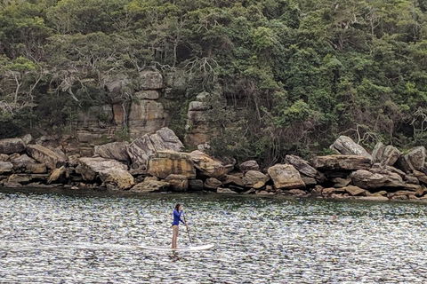Manly & Sydney's Northern Beaches With 'Personalised Sydney Tours' - Accommodation Search 3