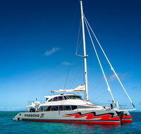 Passions of Paradise Great Barrier Reef Snorkel and Dive Cruise from Cairns by Luxury Catamaran - Accommodation Search