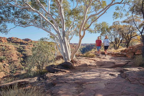 3-Day Tour From Uluru (Ayers Rock) To Alice Springs Via Kings Canyon - Accommodation Search 1