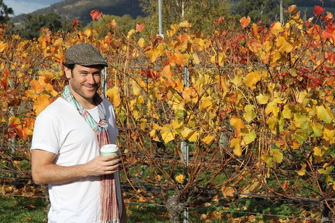 Signature Tour - Accommodation Search 0