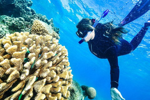 Green Island Day Trip From Cairns - Accommodation Search 1