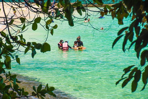 Green Island Day Trip From Cairns - Accommodation Search 2