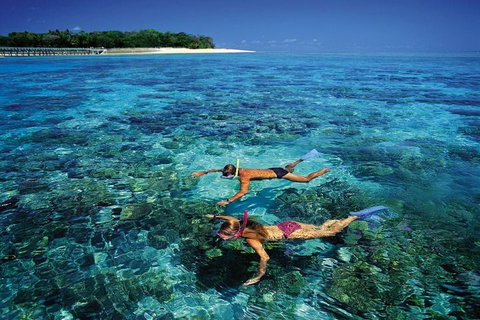 Green Island Day Trip From Cairns - Accommodation Search 5