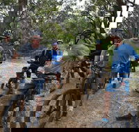 Fully guided E-Mountain Bike Tour on the beautiful Mornington Peninsula. - Accommodation Search