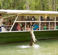 Hartley's Crocodile Adventure Half-Day Tour - Accommodation Search