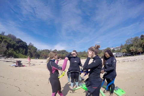 Manly And Shelly Beach Snorkeling Tour - Accommodation Search 5