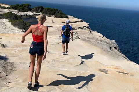 See Sydney With A Local: Private & Personalized - Accommodation Search 0
