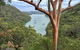 Shore Excursion: Sydney's Northern Beaches & Ku-ring-gai National Park Bus Tour - thumb 1
