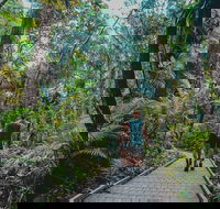 Full Day Cooktown Private Tour - Accommodation Search