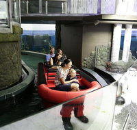 Sydney Attractions Pass SEA LIFE Aquarium Sydney Tower Eye WILD LIFE Zoo and Madame Tussauds - Accommodation Search