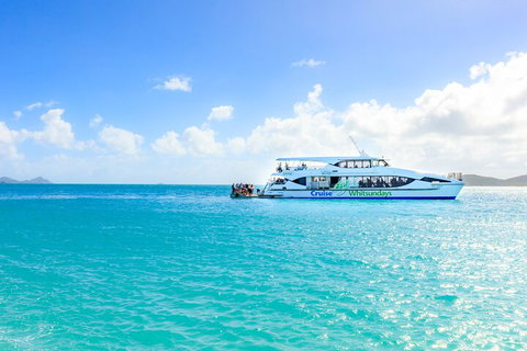 Whitehaven Beach And Daydream Island Cruise - Accommodation Search 2