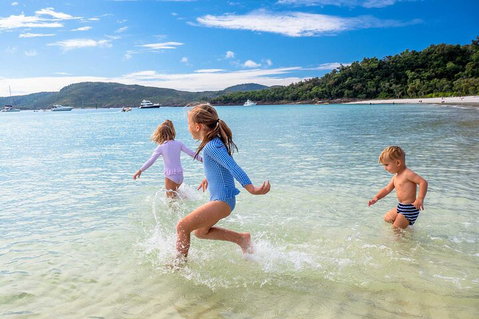 Whitehaven Beach And Daydream Island Cruise - Accommodation Search 3