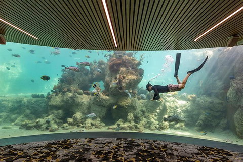 Whitehaven Beach And Daydream Island Cruise - Accommodation Search 4
