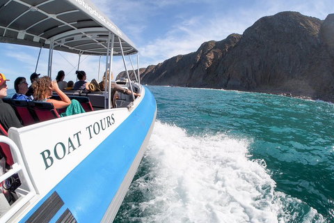 Southern Ocean Adventure From Victor Harbor - Accommodation Search 0