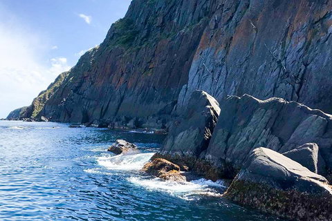 Southern Ocean Adventure From Victor Harbor - Accommodation Search 3