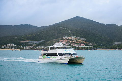 Whitsunday Islands Hopper Pass - Accommodation Search 4