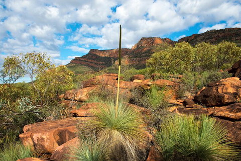 6-Day Eyre Peninsula & Flinders Ranges Adventure Tour - Accommodation Search 1