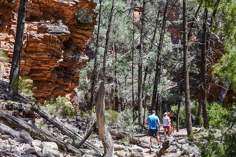 6-Day Eyre Peninsula & Flinders Ranges Adventure Tour - Accommodation Search 5