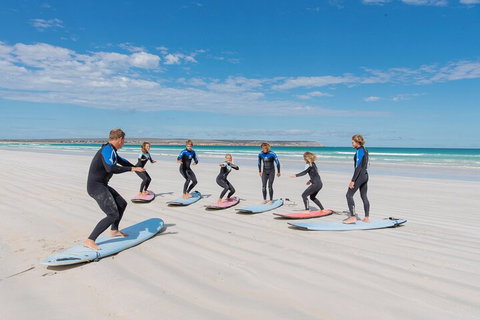 10-Day Adelaide To Perth Adventure Tour - Accommodation Search 0