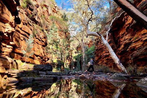 10-Day Adelaide To Perth Adventure Tour - Accommodation Search 5