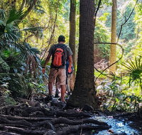 Hike to the Figure Eight Pools - Accommodation Search