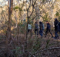 Wild Australian Wildlife 4WD Tour from Sydney - Accommodation Search