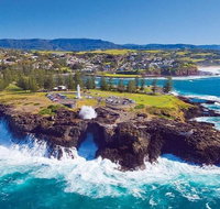 Sydney Wine Tour  Wine Waves  Wildlife in South Coast - Accommodation Search