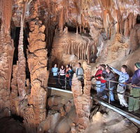 Blue Mountains Private Tour from Sydney with Jenolan Caves - Accommodation Search
