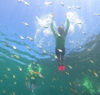 Manly Snorkel Trip and Nature Walk with Local Guide - Accommodation Search