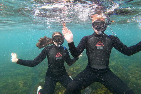 Manly Snorkel Trip And Nature Walk With Local Guide - Accommodation Search 3